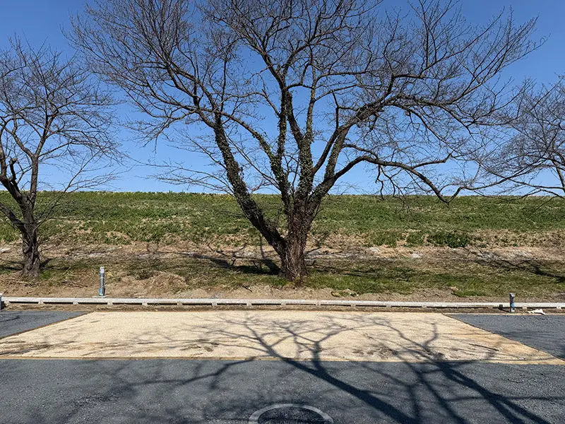 グラウンドサイト