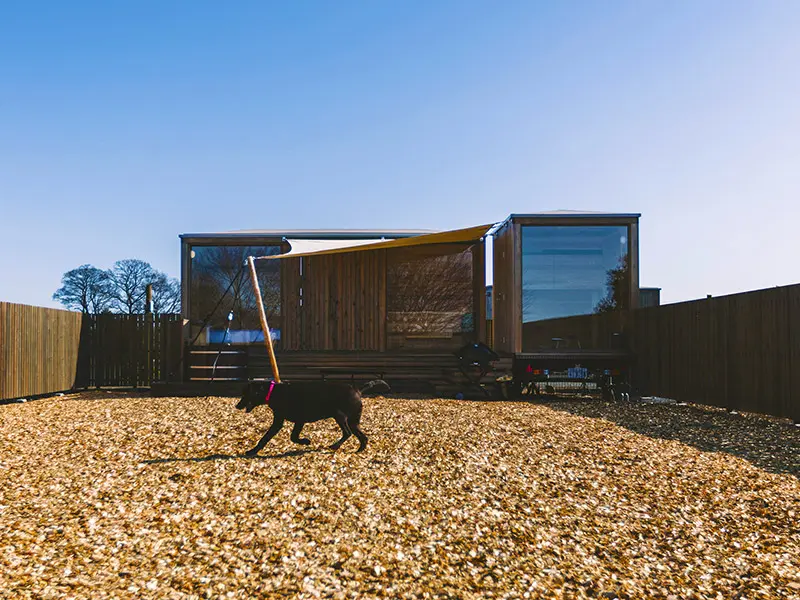 プライベートドッグラン